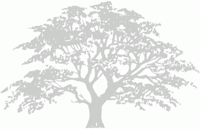 raintree-emr